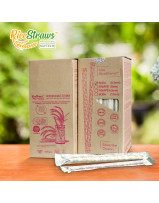 ricestraws-100-biodegradable-drinking-straws-dispenser-box-65mm150pcs-box