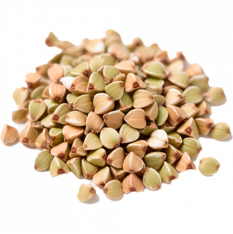 green-buckwheat-raw-gluten-free-grain-for-healthy-recipes-horeca-bulk-private-label