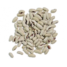 speckled-beans-pinto-colored-premium-quality-bulk-horeca-private-label