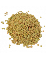 green-lentils-for-soups-salads-sides-horeca-5kg-10kg-bulk-private-label