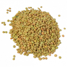 green-lentils-for-soups-salads-sides-horeca-5kg-10kg-bulk-private-label