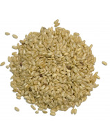 brown-rice-cargo-sortex-whole-grain-horeca-bulk-private-label