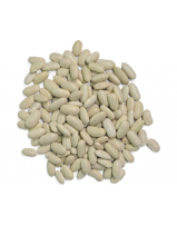 white-beans-premium-quality-bulk-horeca-private-label