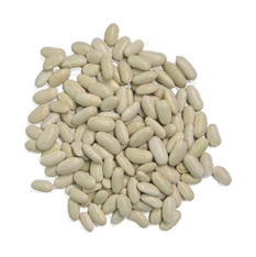 white-beans-premium-quality-bulk-horeca-private-label